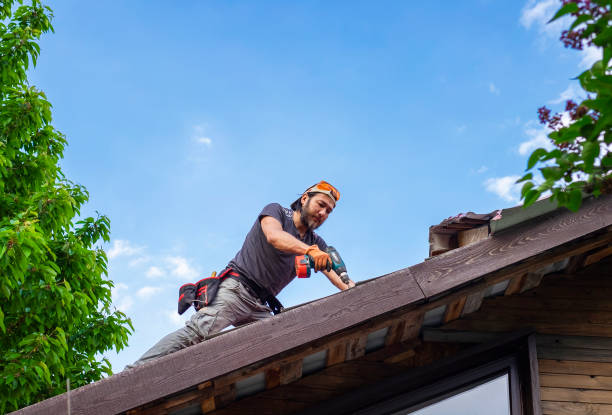 Best Roof Maintenance and Cleaning  in Monmouth, IL