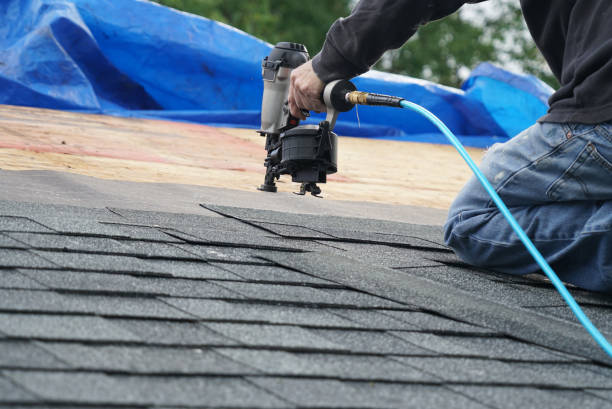 Best Roof Insulation Installation  in Monmouth, IL