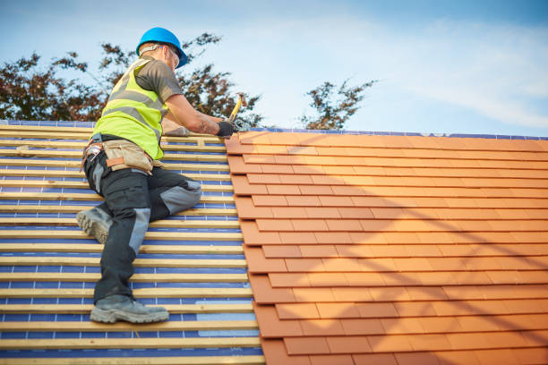 Best Roof Moss and Algae Removal  in Monmouth, IL